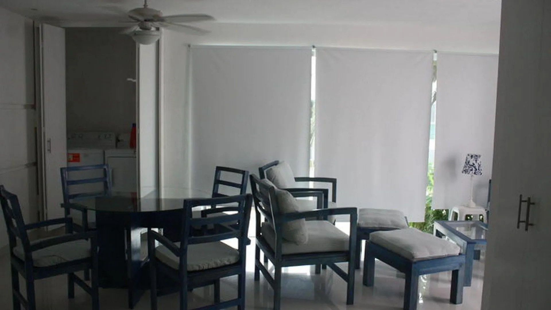 Anemona Daire Akumal